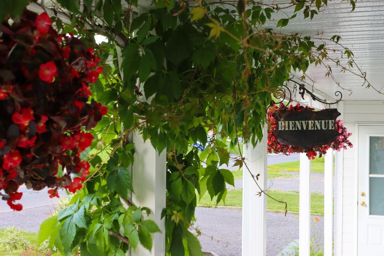 Bed & Breakfast, Gite La Princesse Des Champs Saint-Jean-de-Boischâtel Eksteriør billede